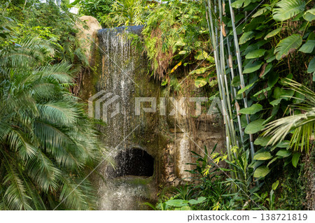 Lush Tropical Greenhouse with Waterfall and Exotic Plants Lush Tropical Greenhouse with Waterfall and Exotic Plants 138721819