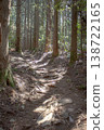 Walking along the mountain path 138722165