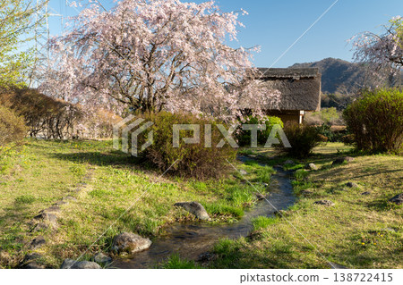 Cherry blossoms at Suisha-no-Sato Park 138722415