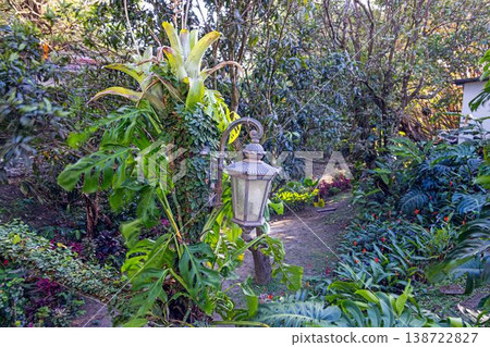 Tropical garden detail with plants and lantern Panama Tropical garden detail with plants and lantern Panama 138722827