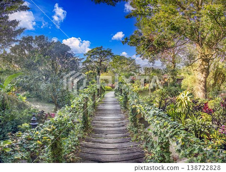 Tropical garden pathway with lush plants Panama Tropical garden pathway with lush plants Panama 138722828