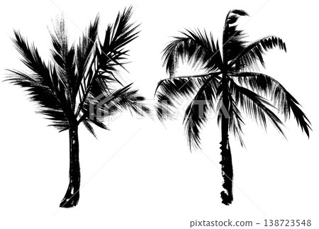 Picturesque silhouettes of palm trees. Illustration painted using the drybrush technique isolated on a white background Picturesque silhouettes of palm trees. Illustration painted using the drybrush technique isolated on a white background 138723548