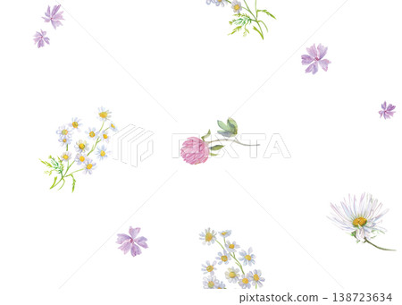 watercolor seamless pattern with watercolor wildflowers with field daisies and clover flowers for textiles  138723634