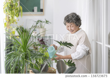 Senior woman watering houseplants Senior woman watering houseplants 138723673