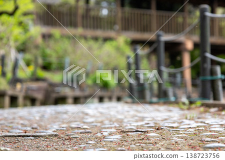 本道寺的春日景色 本道寺的春日景色 138723756