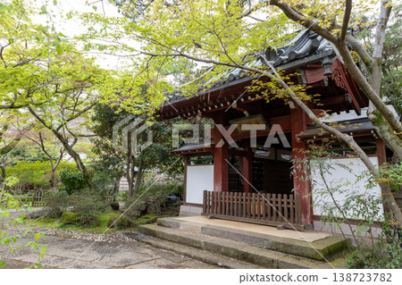 Springtime scenery at Hondoji Temple Springtime scenery at Hondoji Temple 138723782