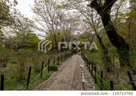 本道寺的春日景色,通往寺廟的道路。 本道寺的春日景色,通往寺廟的道路。 138723789