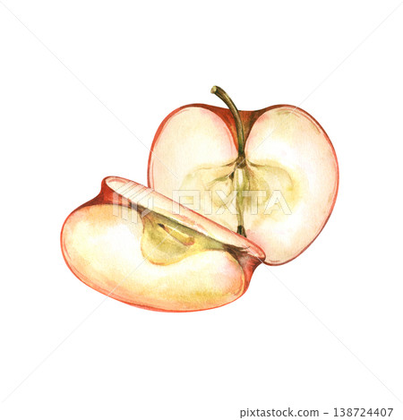 Watercolor illustration of a red apple cut into slices isolated on a white background. Botanical art with half-apple with seeds and a separate wedge. For organic food packaging, cider labels, recipe Watercolor illustration of a red apple cut into slices isolated on a white background. Botanical art with half-apple with seeds and a separate wedge. For organic food packaging, cider labels, recipe 138724407