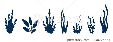 Hand drawn set of underwater seaweed and aquatic plants in bold minimal style, perfect for marine patterns, aquarium branding, packaging, childrens designs and ocean themed illustrations Hand drawn set of underwater seaweed and aquatic plants in bold minimal style, perfect for marine patterns, aquarium branding, packaging, childrens designs and ocean themed illustrations 138724454