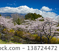 Fuji and cherry blossoms 138724472