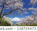 Sakura and Mt. Fuji 138724473