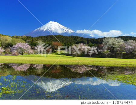 櫻花與富士山的倒影 櫻花與富士山的倒影 138724474