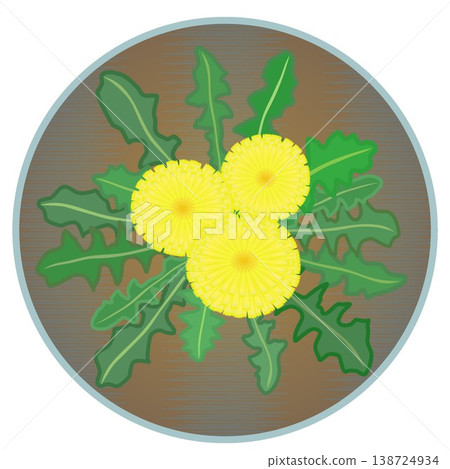 Dandelion illustration with a circular background Dandelion illustration with a circular background 138724934