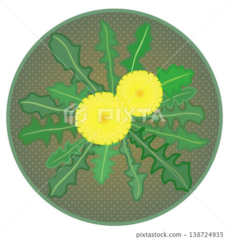 Dandelion illustration with a circular background Dandelion illustration with a circular background 138724935