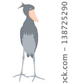 Shoebill (side view) 138725290