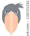 Shoebill's face 138725292