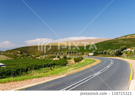 Sunlit vineyard rows with mountain backdrop Sunlit vineyard rows with mountain backdrop 138725321