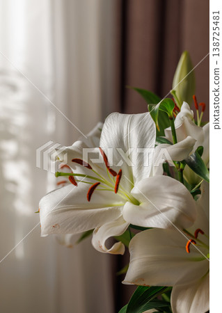 White Lily Flowers in Vase on Wooden Table White Lily Flowers in Vase on Wooden Table 138725481