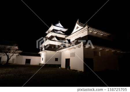 大津城夜景（大津市） 138725705