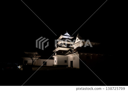 Nighttime view of Ozu Castle (Ozu City) Nighttime view of Ozu Castle (Ozu City) 138725709