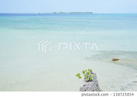 沖繩縣西表島上原港 沖繩縣西表島上原港 138725854