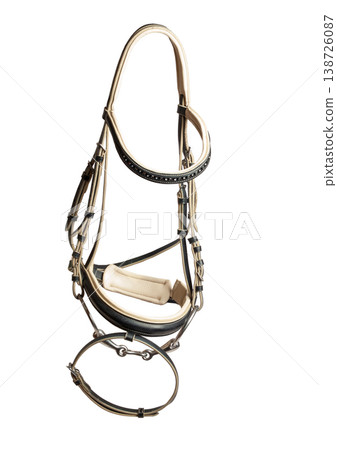 beautiful luxury leather  bridle with bit isolated on white background background 138726087