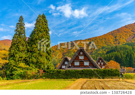 Shirakawa-go Autumn leaves spectacular view Shirakawa-go Autumn leaves spectacular view 138726428