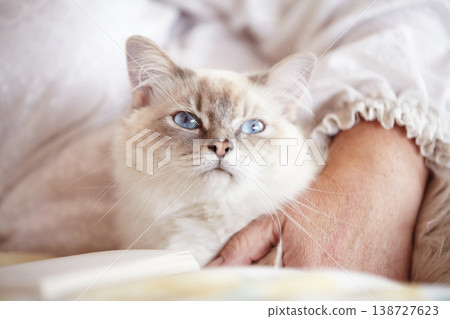 Relax, cuddling and cat with an owner on the sofa for love, care and bonding in a house. Together, peace and a cozy pet or animal with a person for petting, comfort and resting on a home couch 138727623