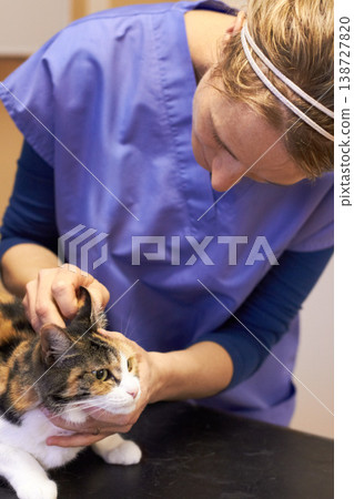Veterinary, doctor and cat for ear examination, checkup or consultation at hospital or clinic for health. Healthcare, veterinarian or woman and animal for wellness, medical exam or sick pet at vet 138727820