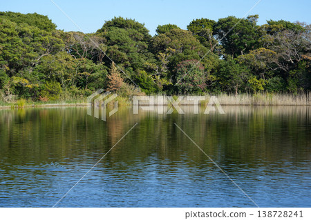 Shizuoka Prefecture, Numazu City, Osezaki Shrine Pond 138728241