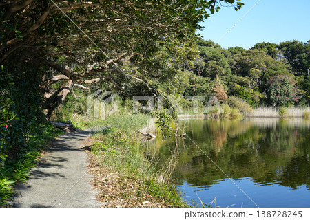 Shizuoka Prefecture, Numazu City, Osezaki Shrine Pond 138728245
