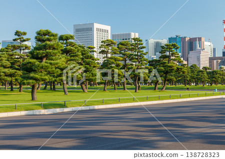 Tokyo Central Parks and Green Urban Spaces 138728323