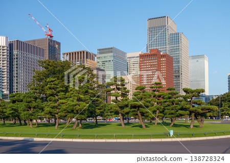 Tokyo Central Parks and Green Urban Spaces 138728324