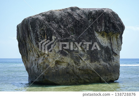沖繩縣、西表島、南風田~鹿川、豆腐岩 沖繩縣、西表島、南風田~鹿川、豆腐岩 138728876