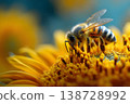 Honeybee Pollinating a Vibrant Sunflower in Detailed Close-Up for Nature Photography Generative AI 138728992