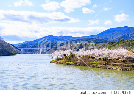Ena Gorge with cherry blossoms in full bloom Ena Gorge with cherry blossoms in full bloom 138729356