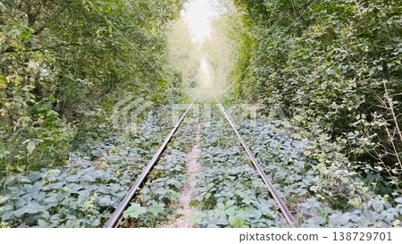 Camera moving on railway track passing through a natural tunnel formed by lush green trees in summer. Sunlight gently illuminates the leaves, creating a vibrant arch of foliage above the rails Camera moving on railway track passing through a natural tunnel formed by lush green trees in summer. Sunlight gently illuminates the leaves, creating a vibrant arch of foliage above the rails 138729701