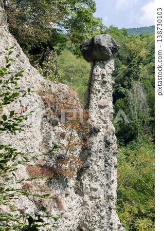 Close detail of Zone Rock Pyramids with pale erosion column dark capstone and forest canopy above 138730103