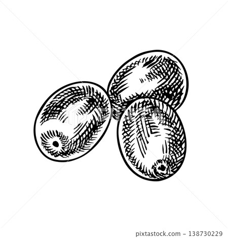 Close-up of olives. Black and white graphic vector illustration drawn by hand. Perfect for labels, prints, and decor, as well as for packaging, banners, posters, and more. 138730229