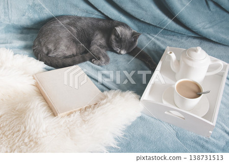 Cozy Home Scene With Cat Tea And Book Relaxing Lifestyle Cozy Home Scene With Cat Tea And Book Relaxing Lifestyle 138731513