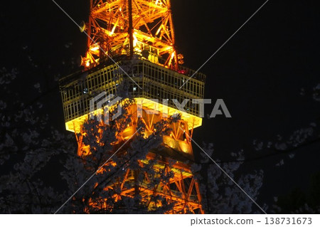 Cherry blossoms add a touch of pink to the illuminated tower at night. Cherry blossoms add a touch of pink to the illuminated tower at night. 138731673