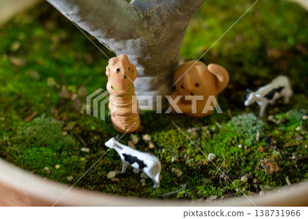 盆栽苔蘚花園及其陶土夥伴 盆栽苔蘚花園及其陶土夥伴 138731966