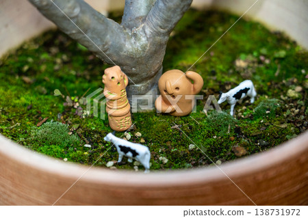 具有療癒功效的苔蘚盆景及其小夥伴們 138731972