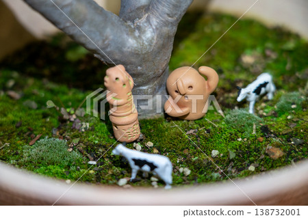 A miniature garden for relaxation 138732001