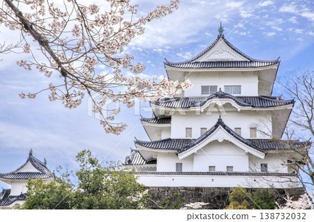 Iga City, Iga Ueno Castle keep and cherry blossoms in full bloom 138732032