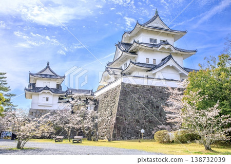 伊賀市，伊賀上野城天守閣，櫻花盛開。 138732039