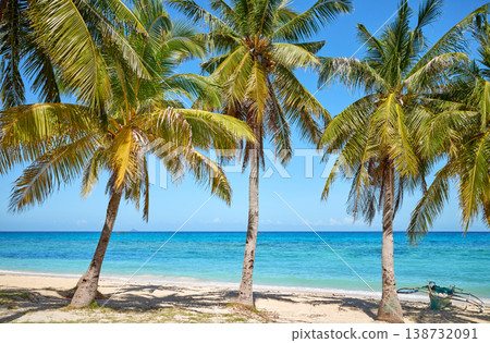 Coconut palms on a beautiful beach on the island of Malapascua, Philippines. 138732091
