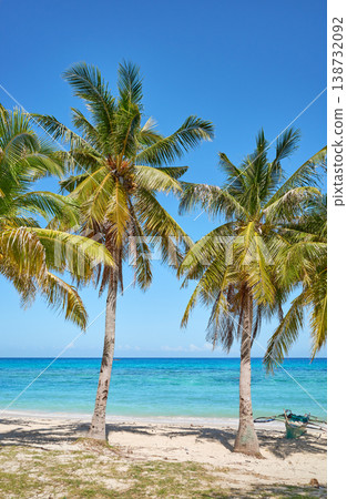 Coconut palms on a beautiful beach on the island of Malapascua, Philippines. 138732092