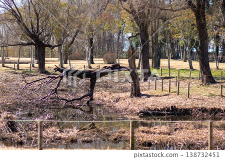 A park devoid of winter, the silence of the waterside. A park devoid of winter, the silence of the waterside. 138732451