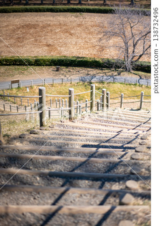 Wooden stairs overlooking the park 138732496